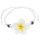 Seestern Armband Modeschmuck Frangipani Blüten / Blumen Design variable Größe JW1501.weiß