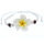 Seestern Armband Modeschmuck Frangipani Blüten / Blumen Design variable Größe JW1501.weiß
