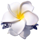SEESTERN Bali Hawaii Haarklammer 2 Frangipani Blüten...