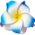 SEESTERN Bali Hawaii Haarklammer 2 Frangipani Blüten aus Moosgummi, Haarspange Blau