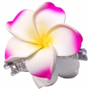 SEESTERN Bali Hawaii Haarklammer 2 Frangipani Blüten aus...