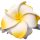 SEESTERN Bali Hawaii Haarklammer 2 Frangipani Blüten aus Moosgummi, Haarspange Gelb