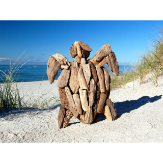 SEESTERN Treibholz Deko m. Schildkrte (30 cm) Motiv Wanddeko Driftwood Holzdeko /1324