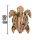 Seestern Sportswear Treibholz Deko m. Schildkröte (30 cm) Motiv Wanddeko Driftwood Holzdeko /1324