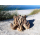 Seestern Sportswear Treibholz Deko m. Schildkröte (30 cm) Motiv Wanddeko Driftwood Holzdeko /1324