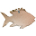 SEESTERN Treibholz Deko mit Fisch ( 75 cm ) Motiv Wanddeko Driftwood Holzdeko /1730