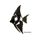 SEESTERN Fisch 50x33 cm Metall Wand Deko Verzierung Hänge Wand Dekoration /1804