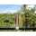 Deko Holz Surfboard 30 cm lang Airbrush Design Surfing Surfen Wellenreiten Surf /1851