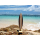Deko Holz Surfboard 30 cm lang Airbrush Design Surfing Surfen Wellenreiten Surf /1851