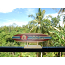 Deko Holz Surfboard 30 cm lang Airbrush Design Surfing Surfen Wellenreiten Surf /1853