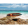 Deko Holz Surfboard 30 cm lang Airbrush Design Surfing Surfen Wellenreiten Surf /1853