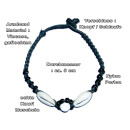 SEESTERN Armband / Armbänder mit Kauri Muschel Design, Muschel Modeschmuck/012 Weiss_5 Stueck