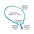 Seestern Halskette Modeschmuck mit Surfboard Nylon Anhänger 2,5 cm variables Halsband /1586