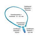Seestern Halskette Modeschmuck mit Surfboard Nylon Anhänger 2,5 cm variables Halsband /1586 Hellblau_ 1 Stueck