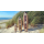 Deko Holz Surfboard 100 cm lang Airbrush Design Surfing Surfen Wellenreiten Surf /1863