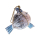 Seestern Sportswear Dekoration Holz Deko Fisch Kokosnuss Kugelfisch 30 x 30cm /1991
