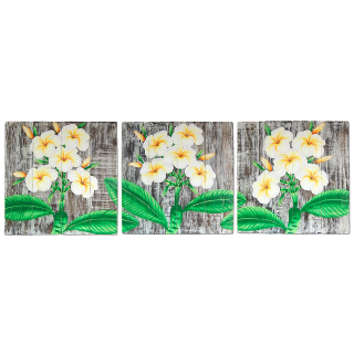 SEESTERN 3 Teiliges handbemaltes Holz Wandbild Wanddeko Frangipani Blüten Motiv 40x120cm /1636