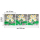 SEESTERN 3 Teiliges handbemaltes Holz Wandbild Wanddeko Frangipani Blüten Motiv 40x120cm /1636