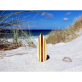 Khlschrank Magnet Deko Holz Surfboard 10 cm Airbrush Surfen Wellenreiten /1652
