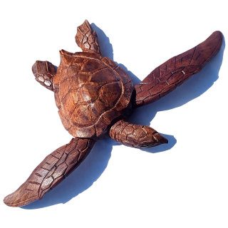 Seestern Sportswear Naturalistische Holzschnitzkunst von Bali Schildkröte Turtle 33 x 45 cm cm /2080