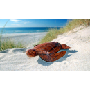 Naturalistische Holzschnitzkunst von Bali Schildkröte Turtle 26 x 20 cm /2080
