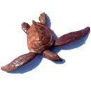 Seestern Sportswear Naturalistische Holzschnitzkunst von Bali Schildkröte Turtle 33 x 45 cm cm /2080