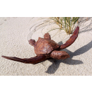 Seestern Sportswear Naturalistische Holzschnitzkunst von Bali Schildkröte Turtle 33 x 45 cm cm /2080