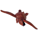 Seestern Sportswear Naturalistische Holzschnitzkunst von Bali Schildkröte Turtle 33 x 45 cm cm /2080