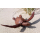 Seestern Sportswear Naturalistische Holzschnitzkunst von Bali Schildkröte Turtle 33 x 45 cm cm /2080