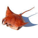 Naturalistische Holzschnitzkunst von Bali Manta Rochen Ray 40 x 30 x 20 cm /2083