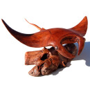 Naturalistische Holzschnitzkunst von Bali Manta Rochen Ray 40 x 30 x 20 cm /2083