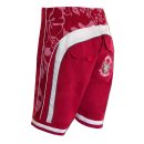 SEESTERN Herren Boardshorts Surfshorts Boardshort Badeshorts mit Gummizug hinten S-3XL mittellang 47-49cm /1943 Bordeaux M