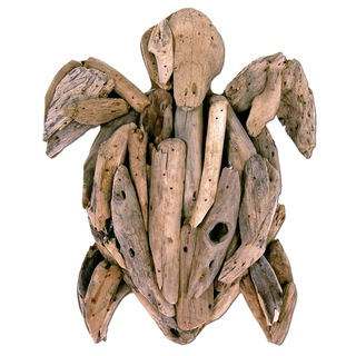 SEESTERN Treibholz Deko m. Schildkröte (23 cm) Motiv Wanddeko Driftwood Holzdeko /1324_23cm