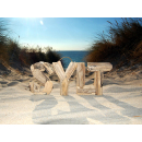 SEESTERN Treibholz Deko m. SYLT Motiv Wanddeko Driftwood Surfing Schild Holzdeko /2344