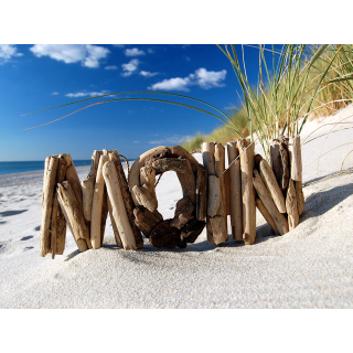 SEESTERN Treibholz Deko m. MOIN Motiv Wanddeko Driftwood Surfing Schild Holzdeko /2345