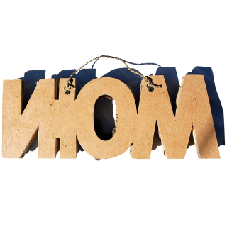 SEESTERN Treibholz Deko m. MOIN Motiv Wanddeko Driftwood Surfing Schild Holzdeko /2345