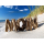 SEESTERN Treibholz Deko m. MOIN Motiv Wanddeko Driftwood Surfing Schild Holzdeko /2345