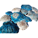 SEESTERN Shell Muscheln Metall Wand Deko Verzierung Hänge Wand Dekoration 82cm /2304