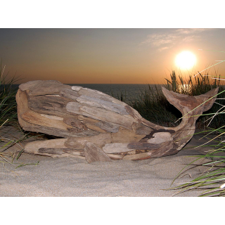 SEESTERN Treibholz Deko m.Wal (106 cm) Motiv Wanddeko Driftwood Holzdeko /2341