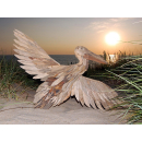 SEESTERN Treibholz Deko Pelikan (108 cm) Motiv Wanddeko Driftwood Holzdeko /2348