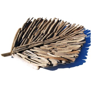 SEESTERN Treibholz Deko Blatt Schale (60 cm) Motiv Wanddeko Driftwood Holzdeko /2349