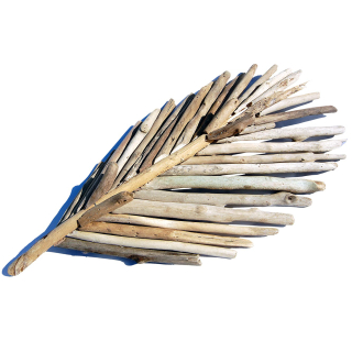 SEESTERN Treibholz Deko Blatt Schale (60 cm) Motiv Wanddeko Driftwood Holzdeko /2350