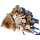 SEESTERN Treibholz Deko Fisch Motiv (63 cm) Frei stehend Driftwood Holzdeko /2352