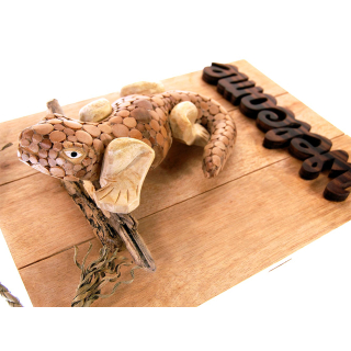 Seestern Deko Teak Holz Haustr Tr Schild Welcome mit Gecko Motiv 40 x 30 cm /1614