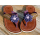 SEESTERN Damen Leder Zehentrenner Zehensandale Zehensteg Auslaufmod. in Gr.39 /a Lila_1127.pl EUR 39