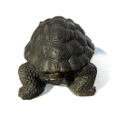 Seestern Homedeko Schildkröte Turtle Garten Statue Figur Skulptur 45 cm Steinguß für innen & außen /2480