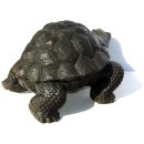 Seestern Homedeko Schildkröte Turtle Garten Statue Figur Skulptur 45 cm Steinguß für innen & außen /2480