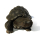 Seestern Homedeko Schildkröte Turtle Garten Statue Figur Skulptur 45 cm Steinguß für innen & außen /2480