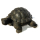 Seestern Homedeko Schildkröte Turtle Garten Statue Figur Skulptur 45 cm Steinguß für innen & außen /2480