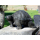 Seestern Homedeko Schildkröte Turtle Garten Statue Figur Skulptur 45 cm Steinguß für innen & außen /2480